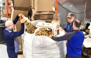 Harvest Hands volunteers sorting rescued potatoes