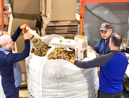 A Morning in the Life of Food Rescue
