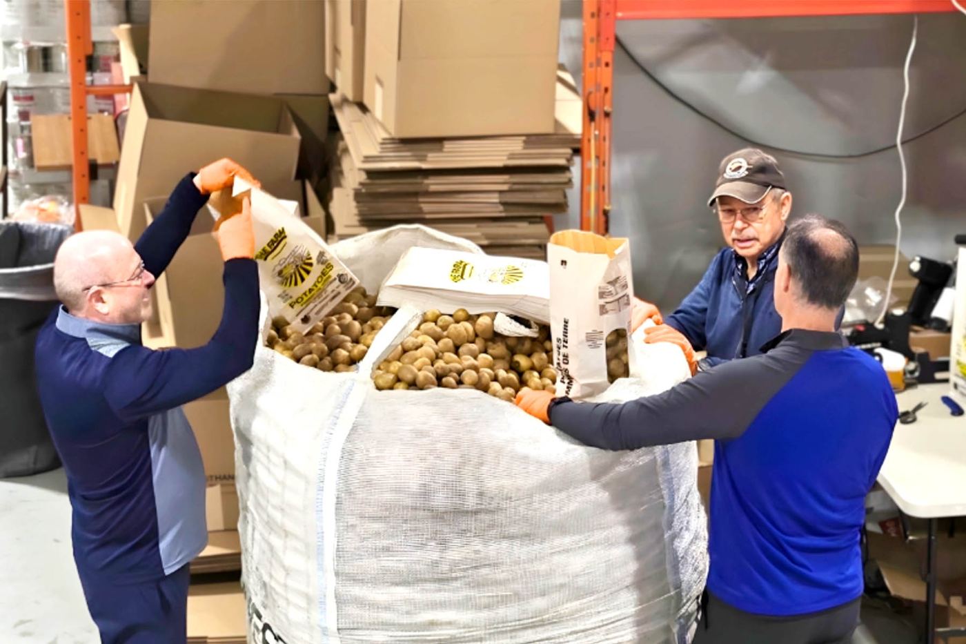 Harvest Hands volunteers sorting rescued potatoes