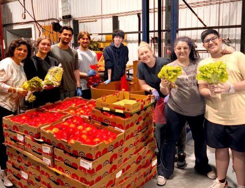 Every Day Is Like Christmas at Harvest Hands
